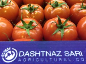 بسته بندی محصولات گلخانه ای گوجه