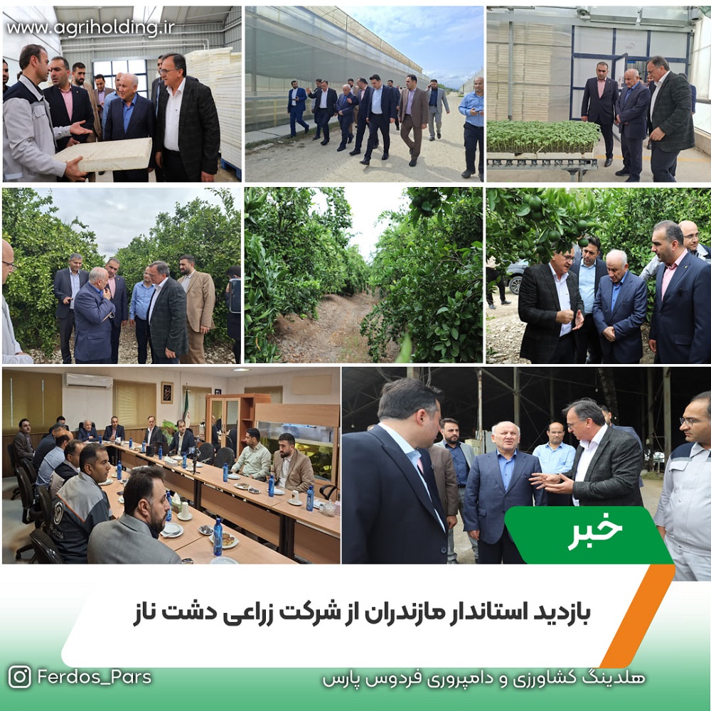 بازدید استاندار مازندران از شرکت زراعی دشت ناز